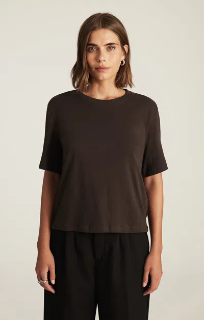 Mavi Edition Crew Neck T-shirt In Chocolate Brown