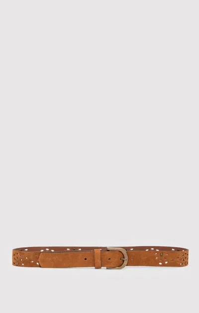 Mavi Floral Cutout Belt In Brown