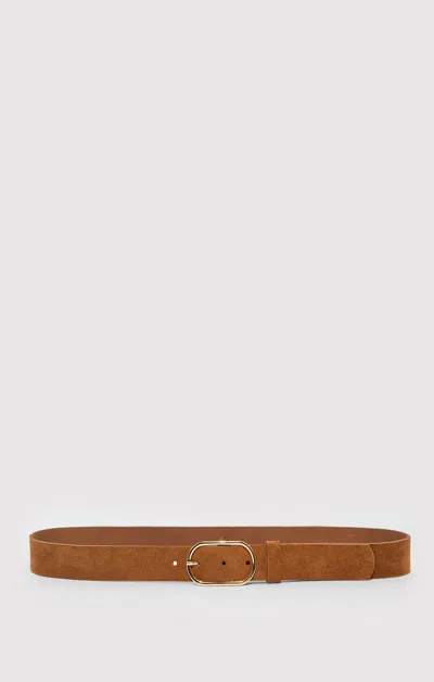 Mavi Suede Oval Buckle Belt In Tan