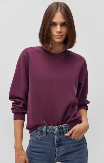 Mavi Sweatshirt In Sassafras In Purple