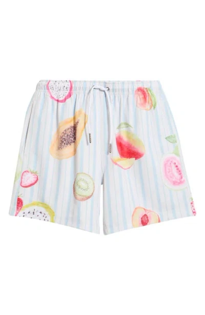 Mavrans Freshly Picked Swim Trunks In Multi