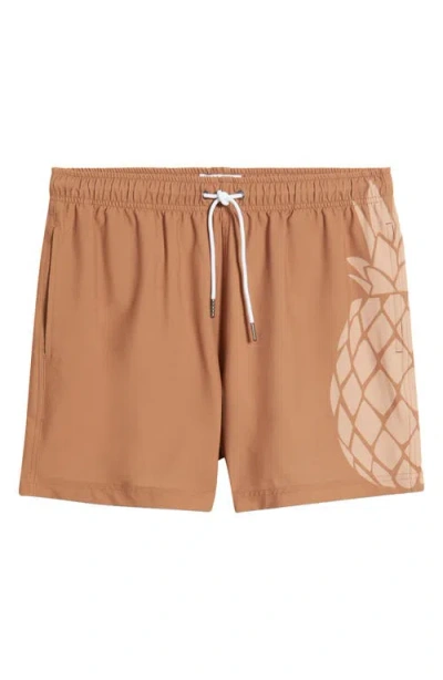 Mavrans Sand Pineapple Waterproof Swim Trunks