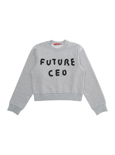 Max & Co Max&co. Cotton Crewneck Sweatshirt In Gray