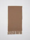 Max & Co. Kid Scarf  Kids Color Camel In Brown