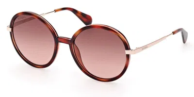 Max & Co .  Mo0064 Sunglasses In Coloured Havana / Gradient Brown