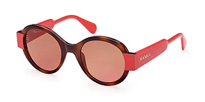 Max & Co .  Mo0067 Sunglasses In Havana/other / Gradient Brown