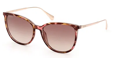 Max & Co .  Mo0078 Sunglasses In Havana/other / Gradient Brown