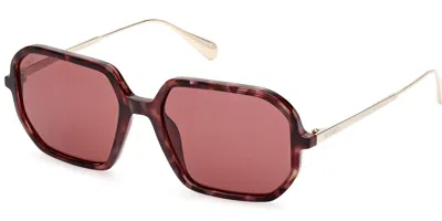 Max & Co .  Mo0087 Sunglasses In Coloured Havana / Bordeaux