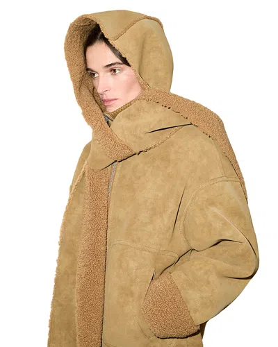 Max & Co . Mcacerchio Hood Scarf In Brown