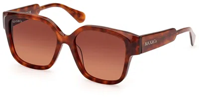 Max & Co Mo0075 52f Women's Sunglasses Tortoiseshell Size 55 In Brown