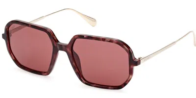 Max & Co Mo0087 55s Women's Sunglasses Tortoiseshell Size 54 In Brown
