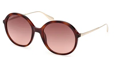 Max & Co Mo0109 52f Women's Sunglasses Tortoiseshell Size 56 In Brown