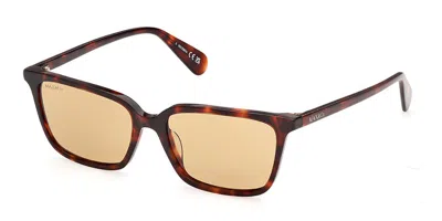 Max & Co Mo0165 52j Occhiali Da Sole Tartarugatishell Per Donna In Dark Tortoise