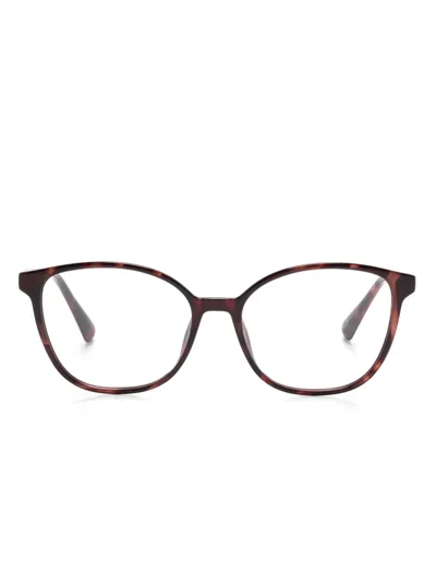 Max & Co Mo5107 Glasses In Brown