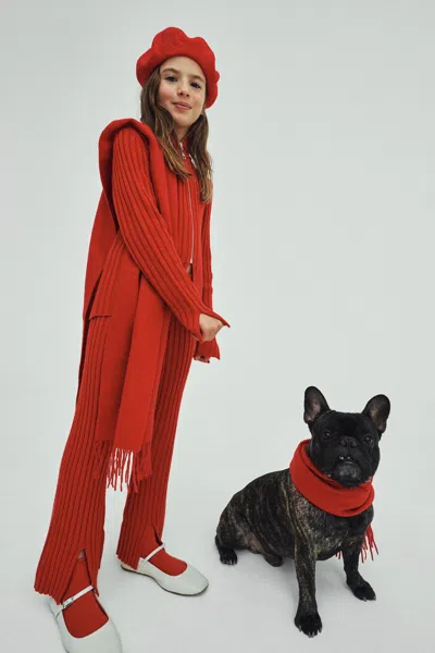 Max & Co Kids' Ribbed Wool Blend Knit Pants In Red