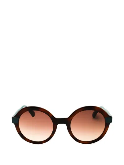Max & Co Round-frame Sunglasses In Brown