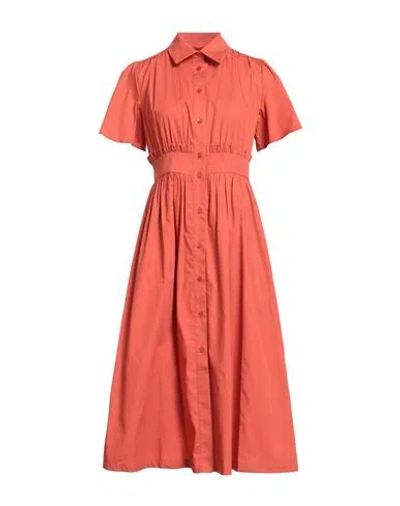 Max & Co . Woman Midi Dress Orange Size 12 Cotton