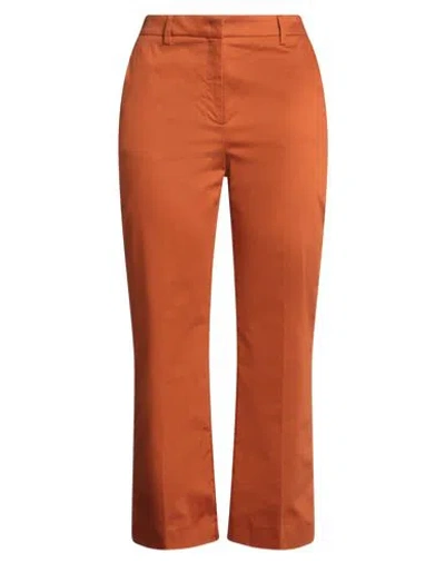 Max & Co . Woman Pants Orange Size 6 Cotton, Elastane