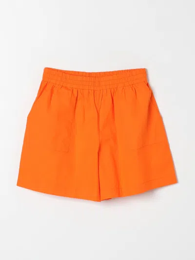 Max & Co. Kid Short  Kids Colour Orange