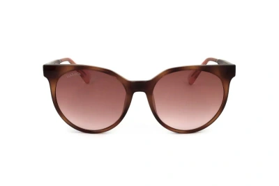 Max & Co Max&co. Oval Frame Sunglasses In Multi