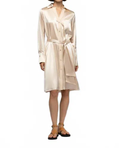 Max & Moi Raesa Silk Mini Shirt Dress With Leather Detail In Beige In Gray