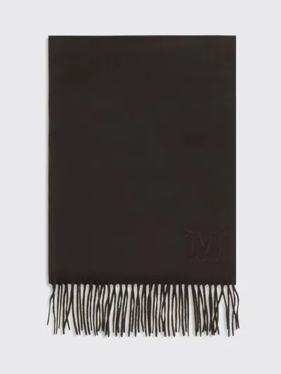 Max Mara 100% Pure Cashmere Scarf With Embroidered Logo Detail In Transparent