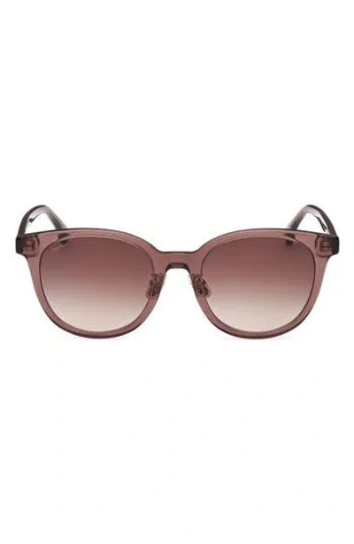 Max Mara 54mm Round Sunglasses In Brown