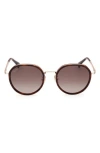 Max Mara 54mm Round Sunglasses In Burgundy