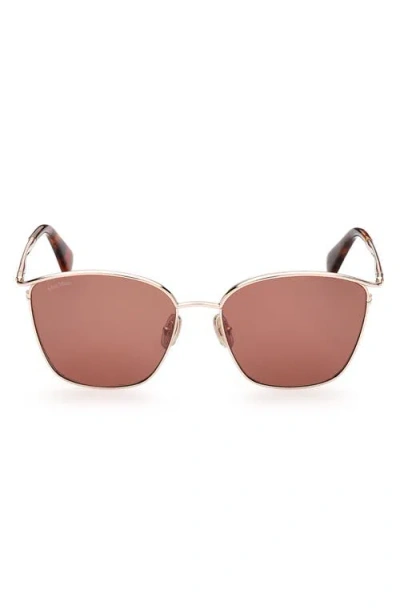 Max Mara 55mm Aviator Sunglasses In Red Havana/brown