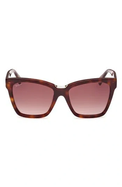 Max Mara 55mm Cat Eye Sunglasses In Brown
