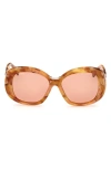 Max Mara Women's Edna Oversized Round-frame Havana And Amber Brown Acetate Sunglasses In Havana / Brown