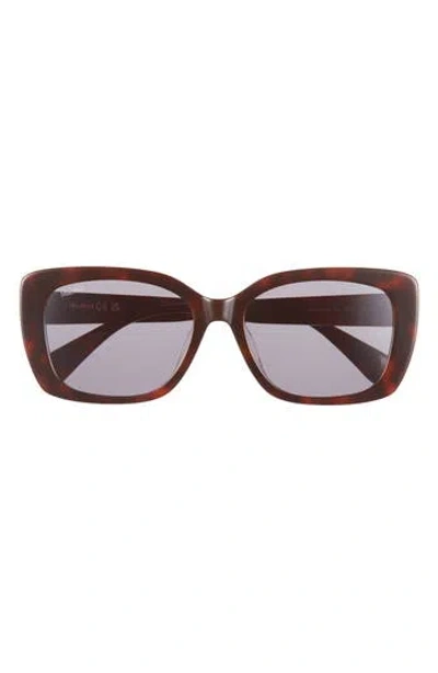 Max Mara 55mm Round Sunglasses In Brown