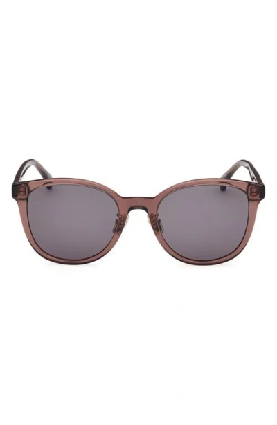 Max Mara 55mm Round Sunglasses In Shiny Dark Brown / Smoke