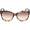 Max Mara 56mm Butterfly Sunglasses In Havana/other/gradient Brown