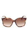 Max Mara 56mm Gradient Geometric Sunglasses In Shiny Dark Brown/ Grad Brown