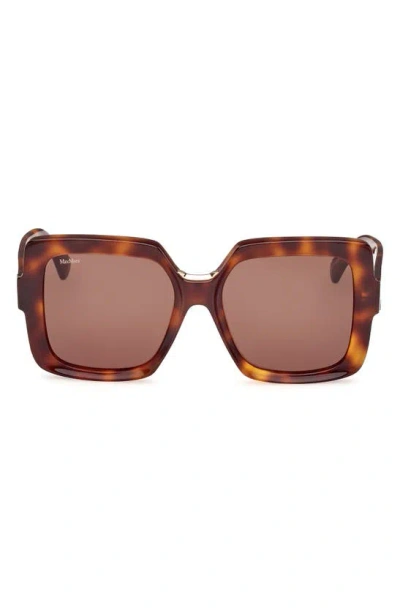 Max Mara 56mm Square Sunglasses In Dark Havana / Brown