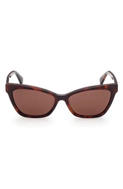 Max Mara 58mm Cat Eye Sunglasses In Dark Havana/brown
