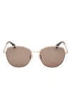 Max Mara 58mm Round Sunglasses In Brown