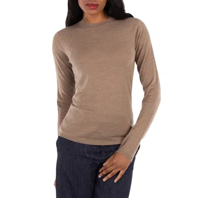 Max Mara Afelio Lightweight Cashmere Jumper In Neutral