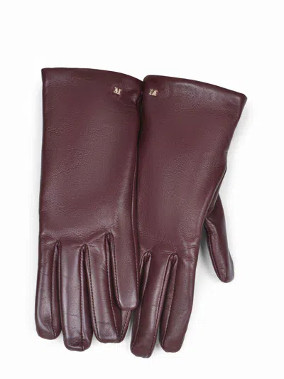 Max Mara "afidee" Gloves