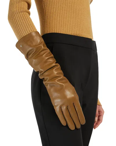 Max Mara Afidee Leather Gloves In Brown