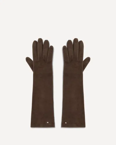 Max Mara Afideesuede Gloves In Brown