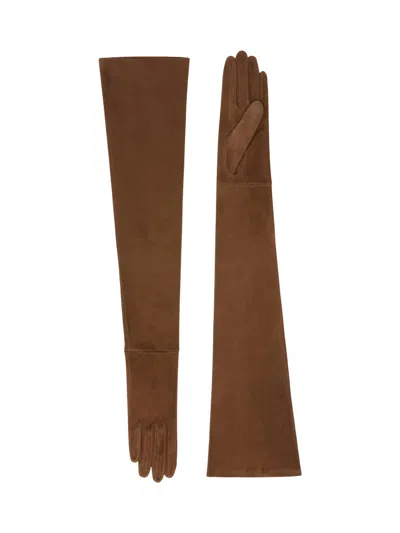 Max Mara Afideesuede Gloves With Logo Plaque In Brown