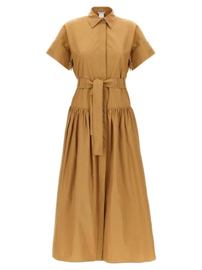 Max Mara 'agoario' Dress In Brown