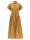 Max Mara Agoraio Cotton Poplin Shirt Dress In Brown