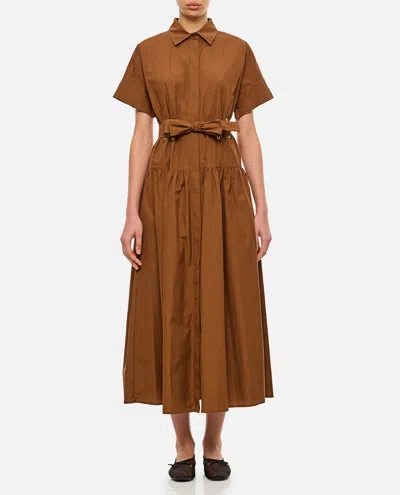 Max Mara Agoraio Popeline Dress In Multicolor