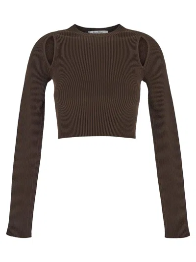 Max Mara Ala1234 Jumper In Brown