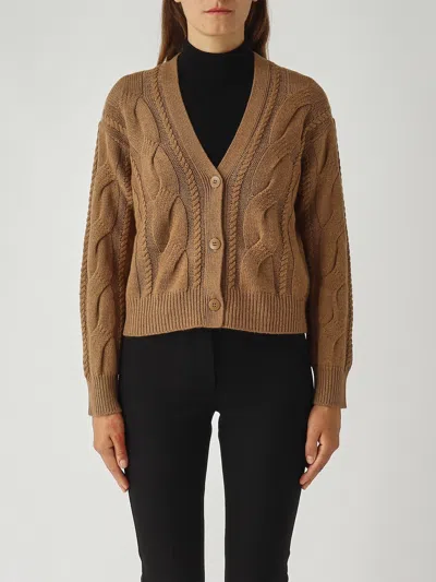 Max Mara Aladino Cardigan In Brown