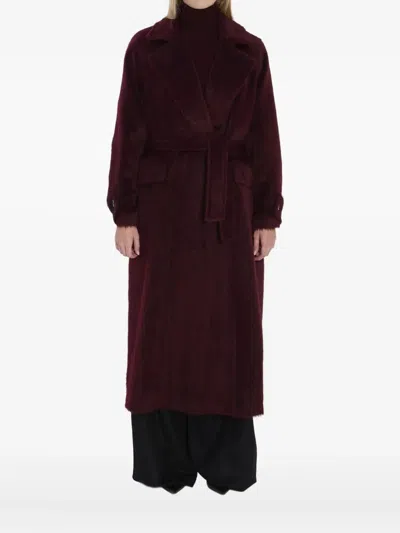 Max Mara "albata1234" Oversized Coat Clothing In Brown