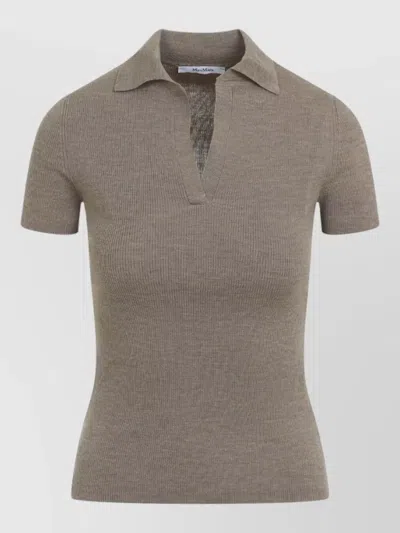 Max Mara Albero Knit Short Sleeve Ribbed Polo In Brown